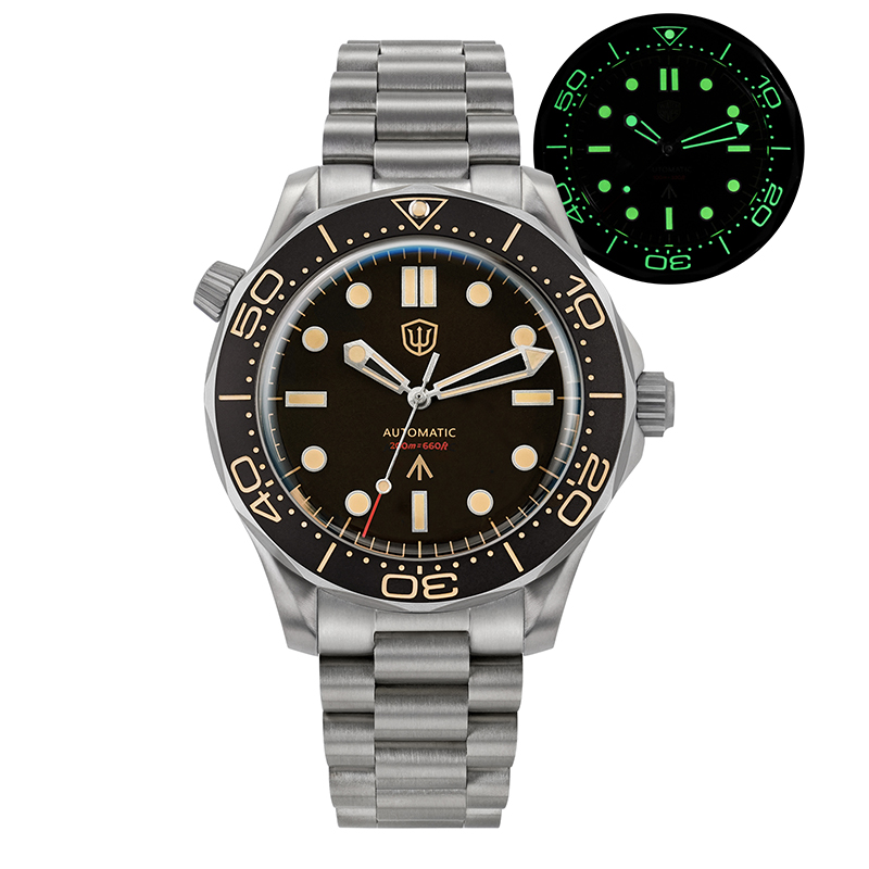 Watchdives WD007 V4 Mechanisch – Luxury Watch Grade Bewertung und Preis