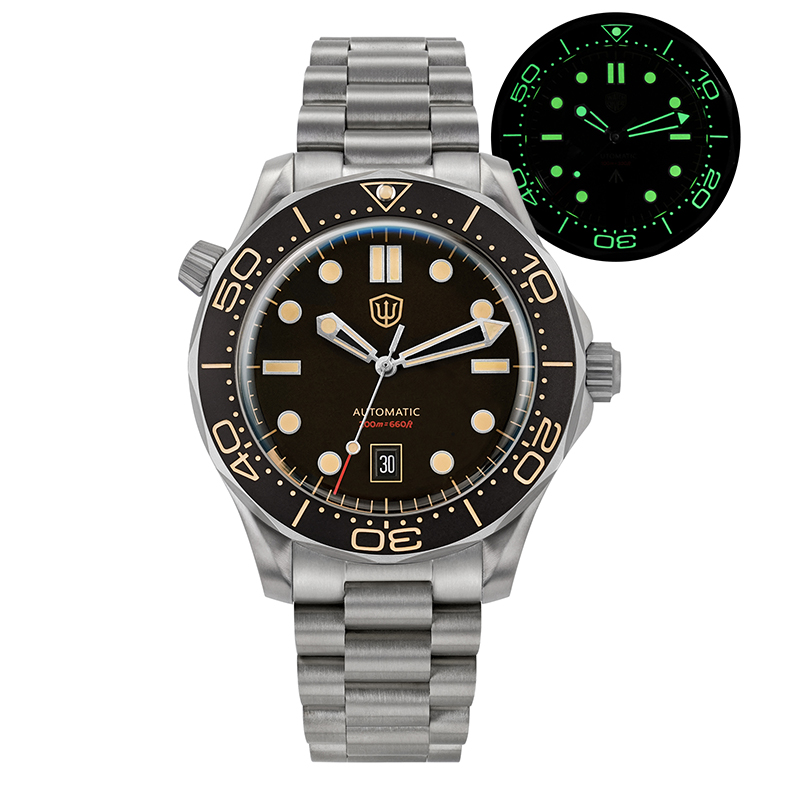 Watchdives WD007 V4 Mechanisch – Luxury Watch Grade Bewertung und Preis